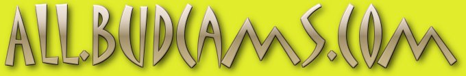 BudCams.Com - The Best In Cam Chat Rooms